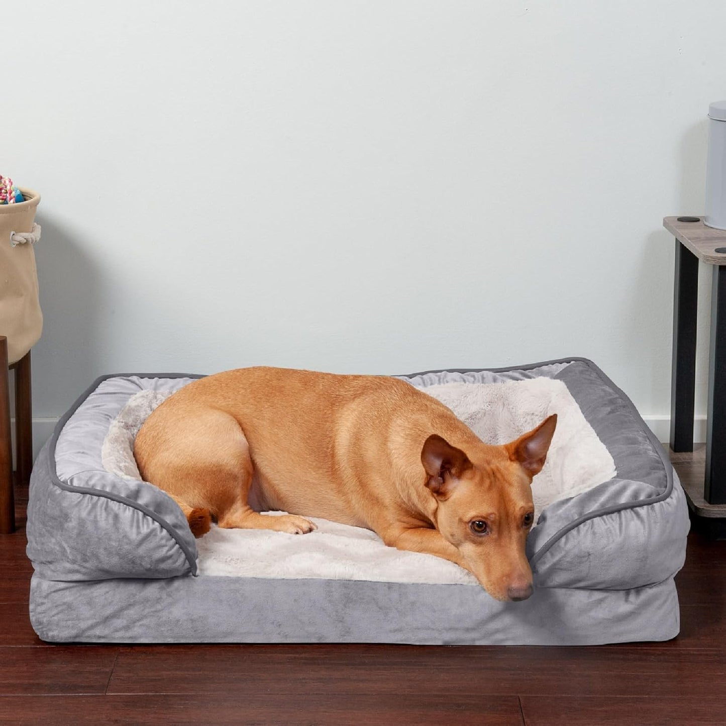 Orthopedic Dog Bed for Medium/Small Dogs W/ Removable Bolsters & Washable Cover, for Dogs up to 35 Lbs