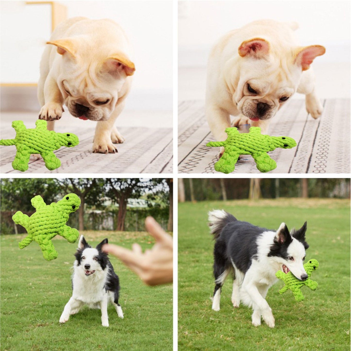 Pet Cotton Rope Toy Small Turtle 