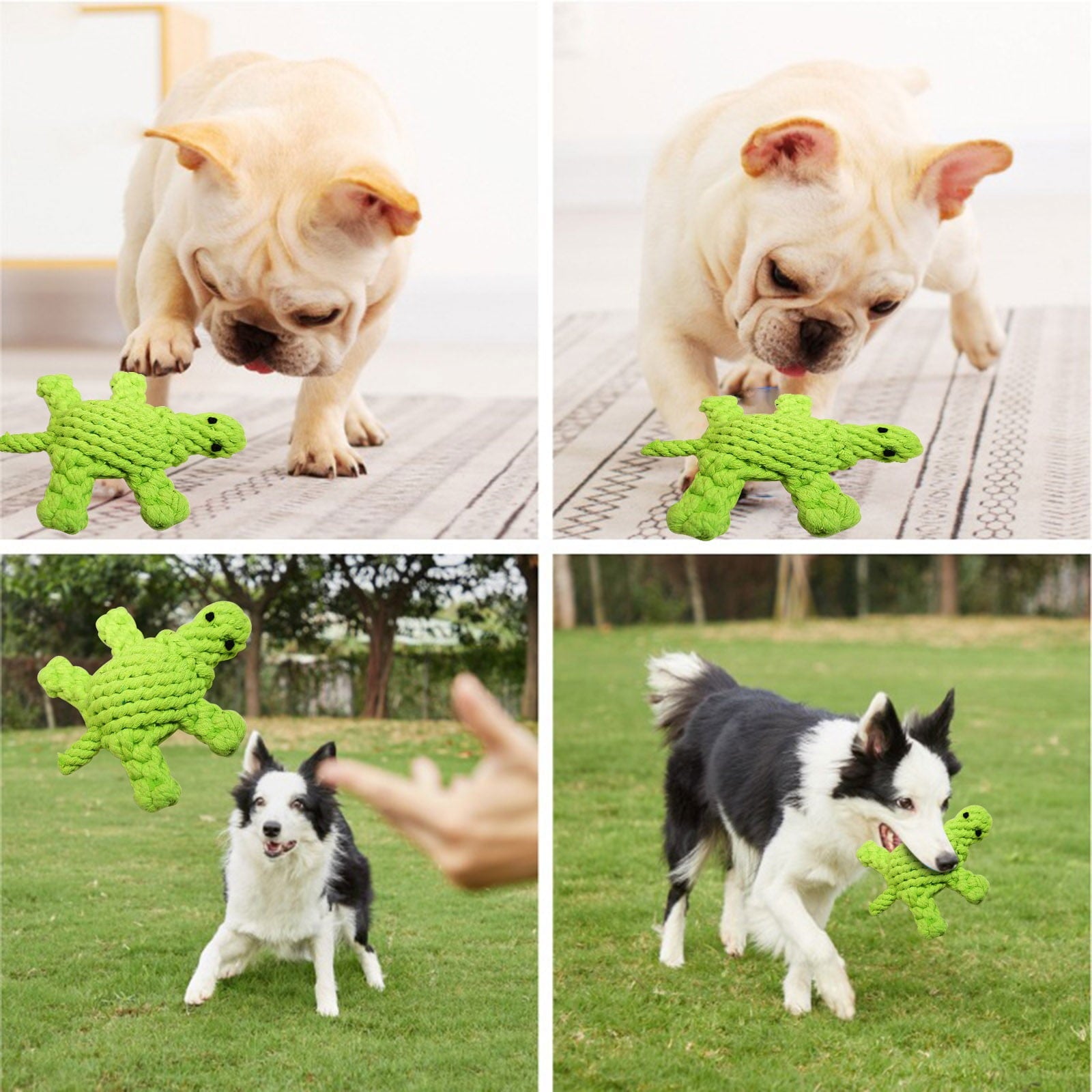 Pet Cotton Rope Toy Small Turtle 