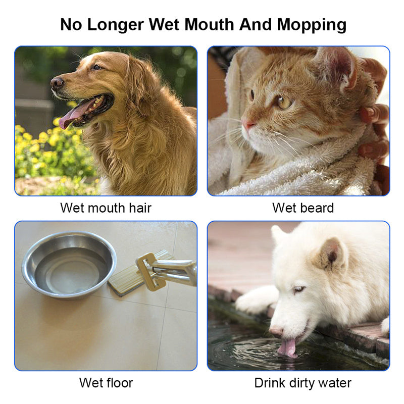 1.5L Cat/Dog Water Bowl 