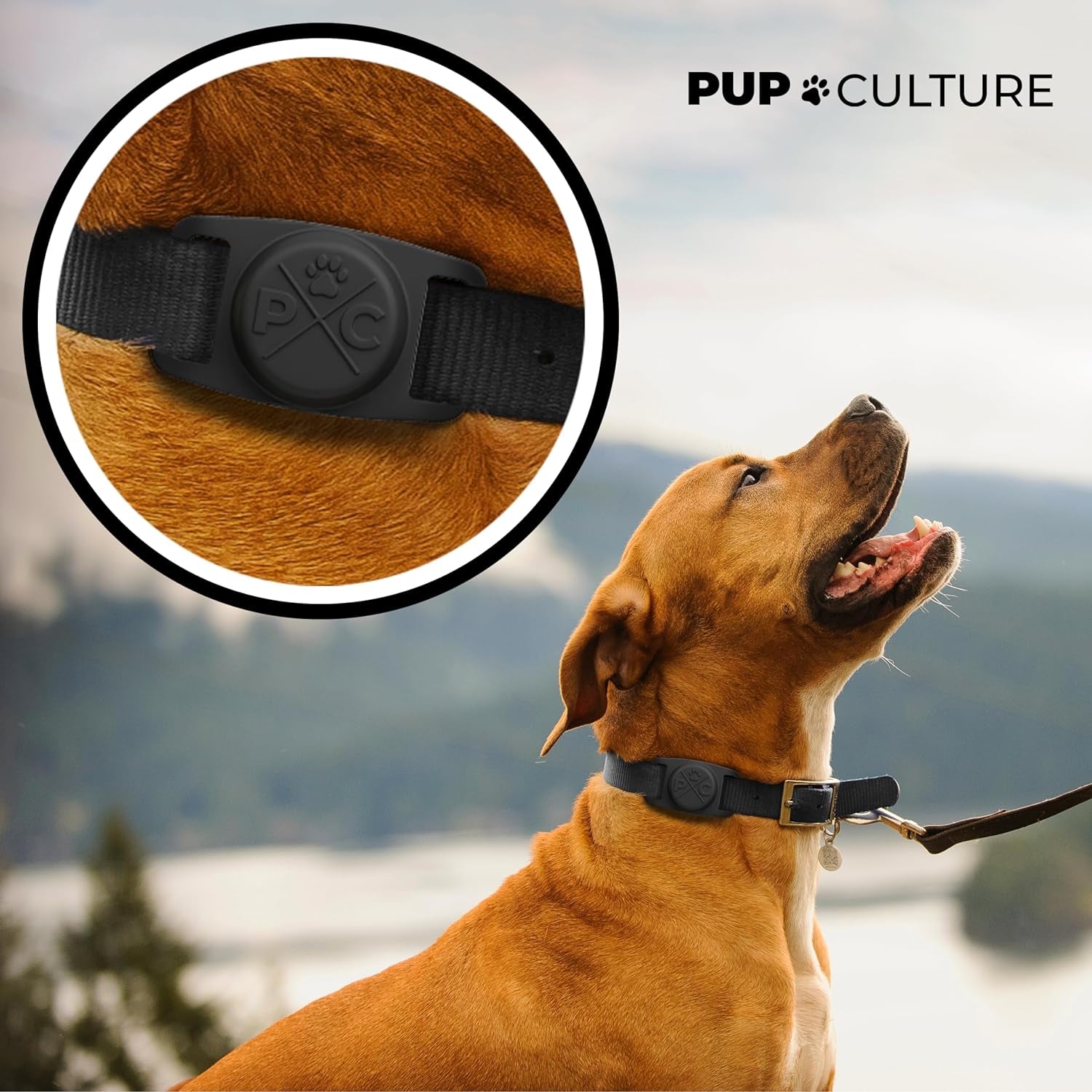 Airtag Dog Collar | Durable & Protective Dog Airtag Holder - Track Your Pet Using Apple Airtag Technology