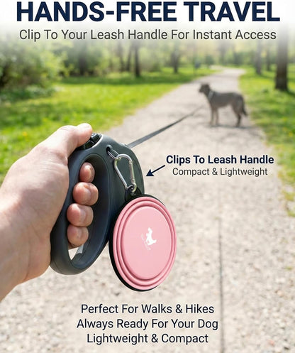 Collapsible Dog Bowls for Travel