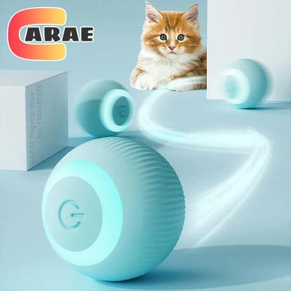 Cat/Dog Interactive Ball Electric Automatic Rolling Ball Smart