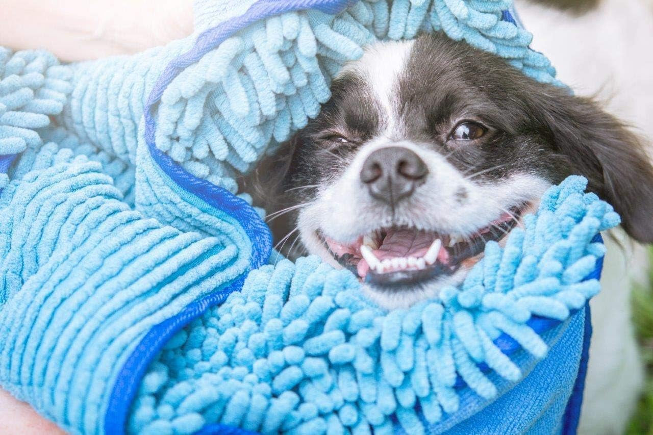 Quick Dry Towel for Dogs | Ultra Absorbent Microfiber Shammy | Extra Large 35X15 Size for All Breeds | 