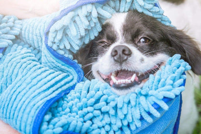 Quick Dry Towel for Dogs | Ultra Absorbent Microfiber Shammy | Extra Large 35X15 Size for All Breeds | 