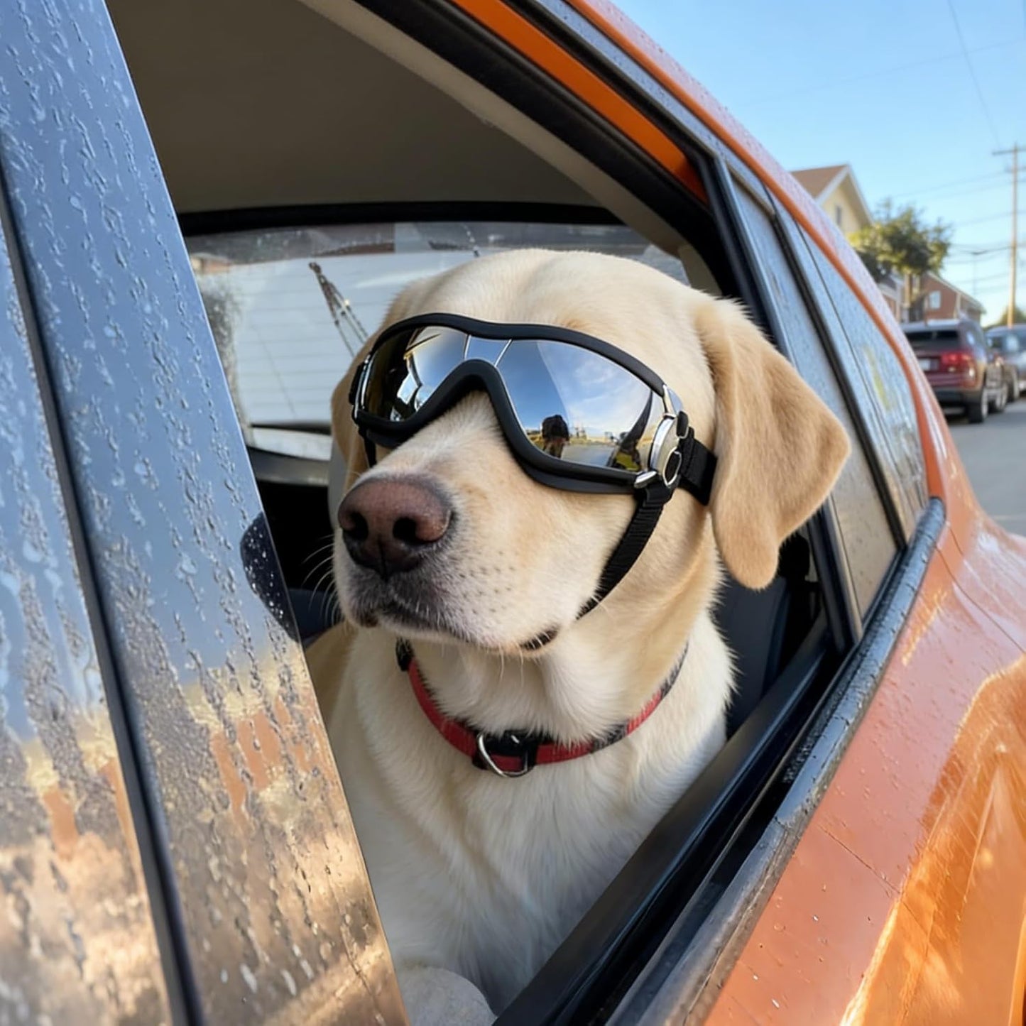 Large Dog Sunglasses Eye Protection for Dogs Windproof Goggles for Medium Large Dog