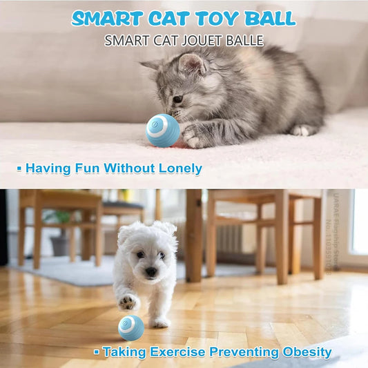 Cat/Dog Interactive Ball Electric Automatic Rolling Ball Smart