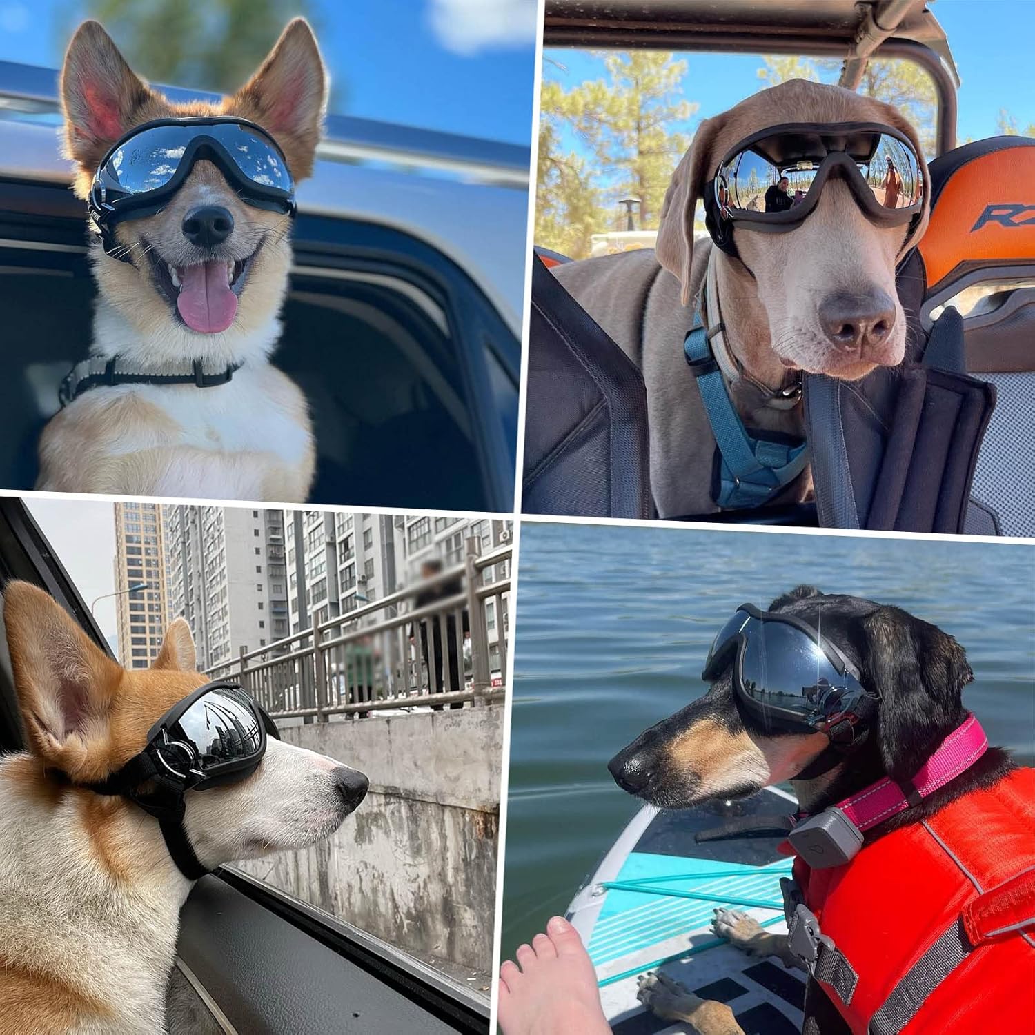 Large Dog Sunglasses Eye Protection for Dogs Windproof Goggles for Medium Large Dog