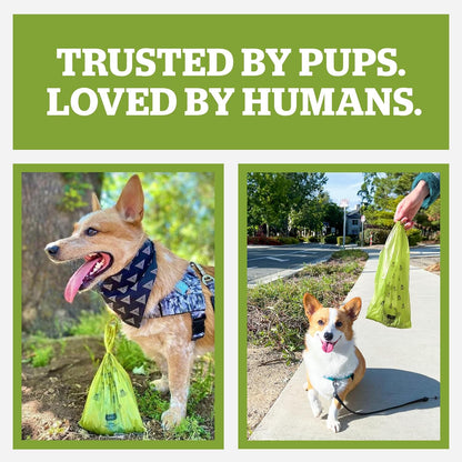Pogi’S Dog Poop Bags with Handles / 900-Count