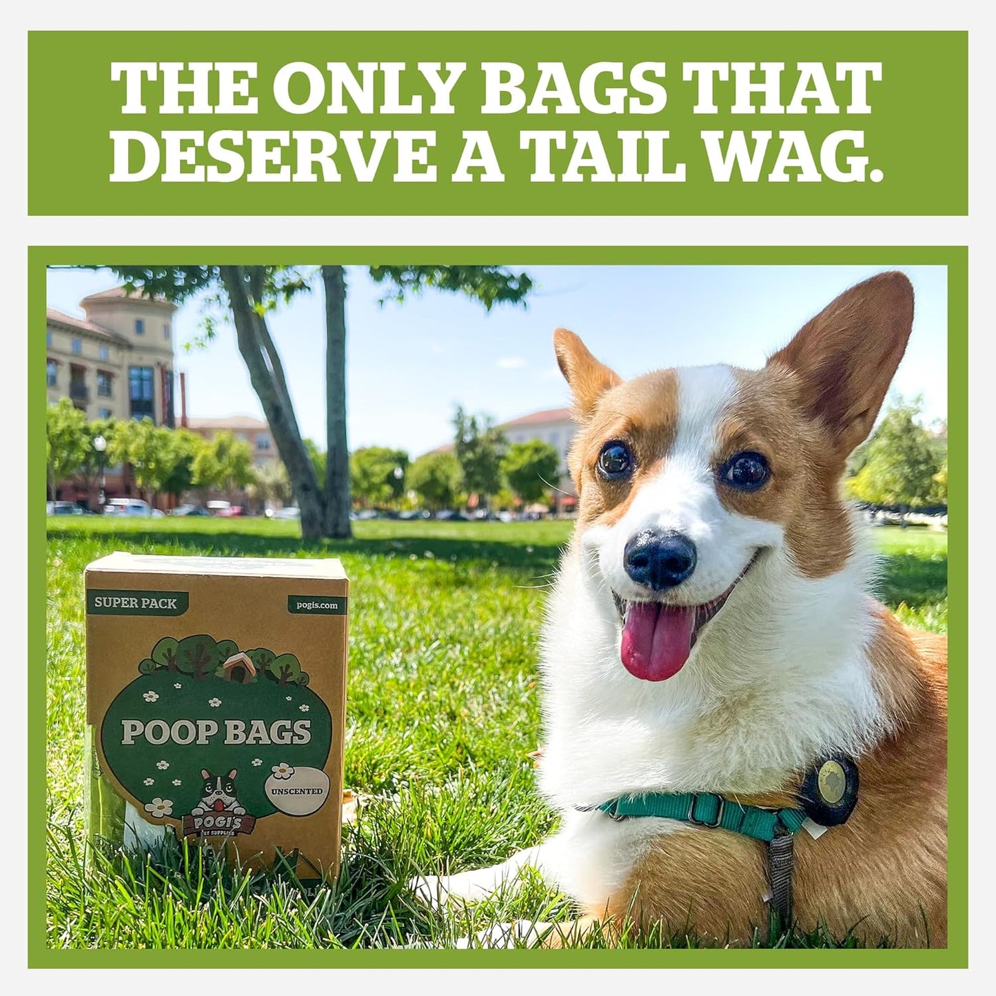 Pogi’S Dog Poop Bags with Handles / 900-Count
