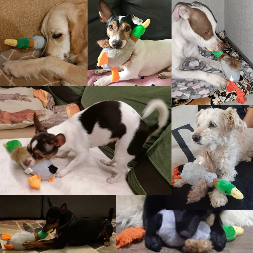 Cute Plush Duck Sound Pet Toys Stuffed Squeaky