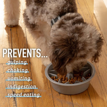 Slow Feeder Dog Bowls (2 Cup) Puzzle Dog Food Bowl - Fits into Elevated Pet Feeders