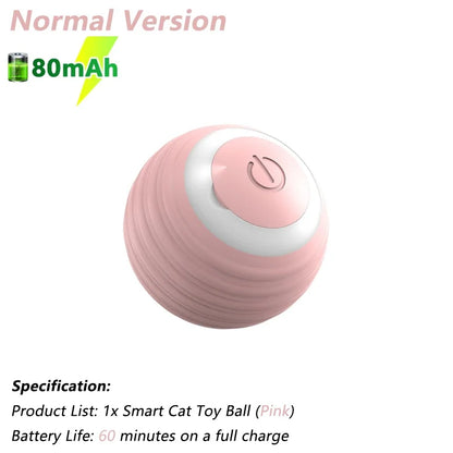 Cat/Dog Interactive Ball Electric Automatic Rolling Ball Smart