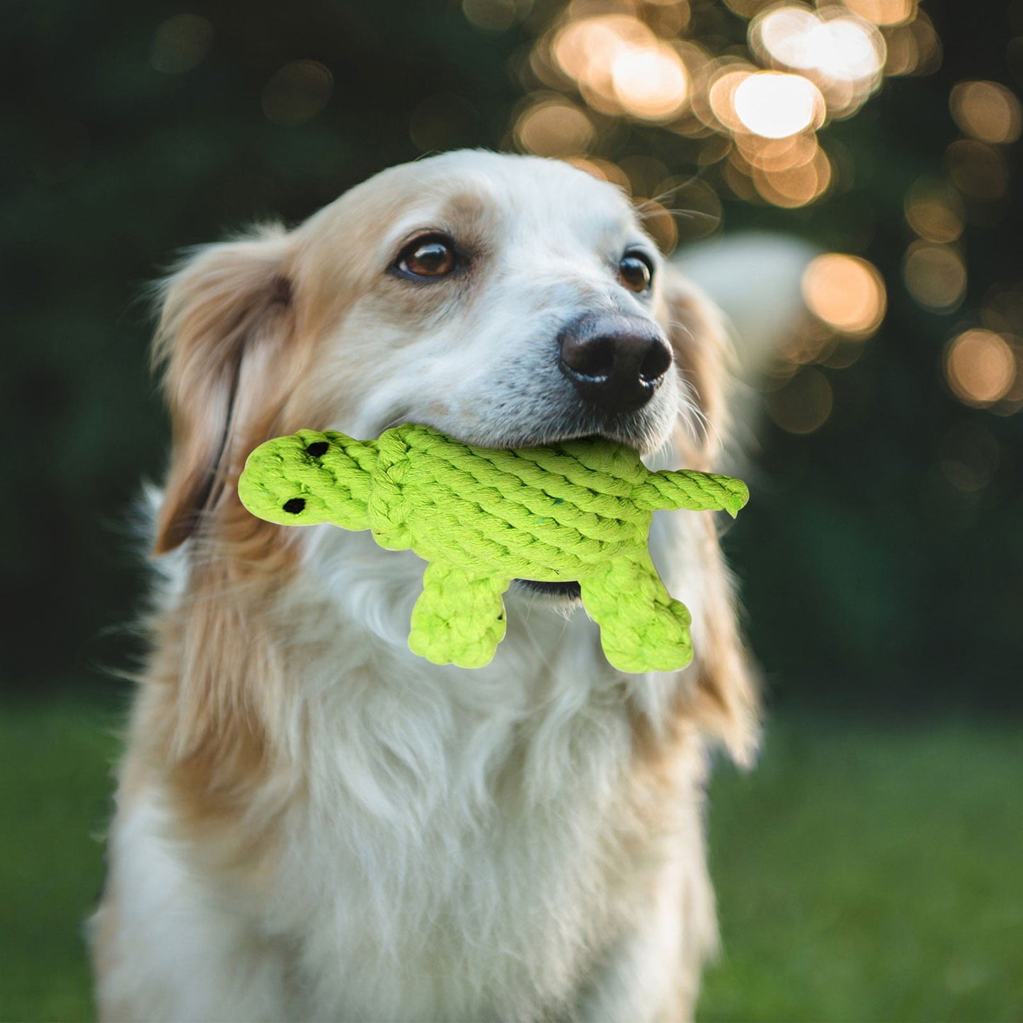 Pet Cotton Rope Toy Small Turtle 