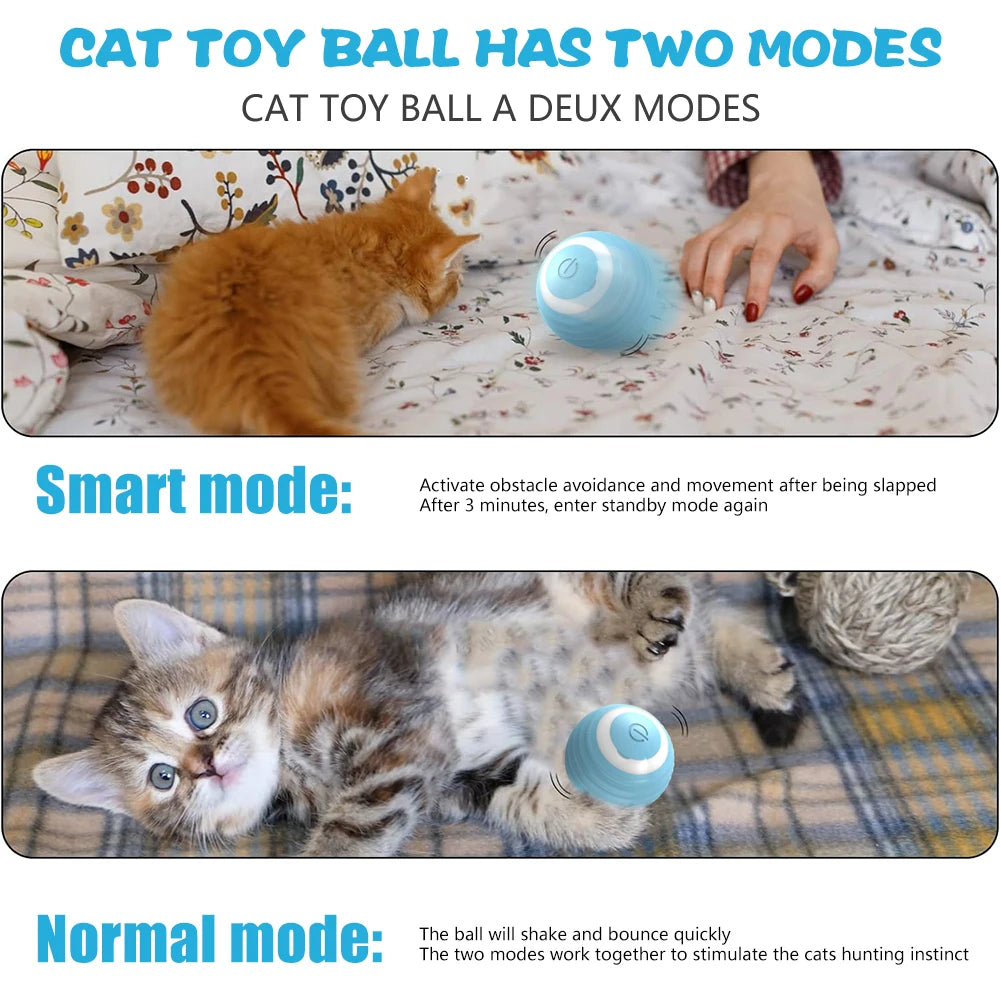 Cat/Dog Interactive Ball Electric Automatic Rolling Ball Smart