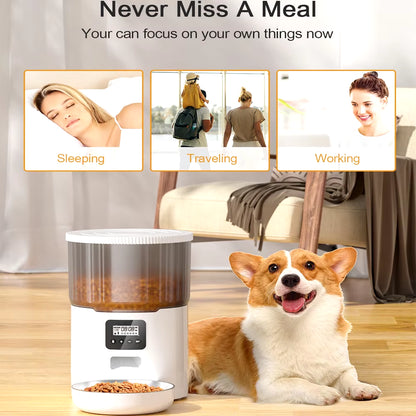 4L Pet Feeder WIFI Automatic 