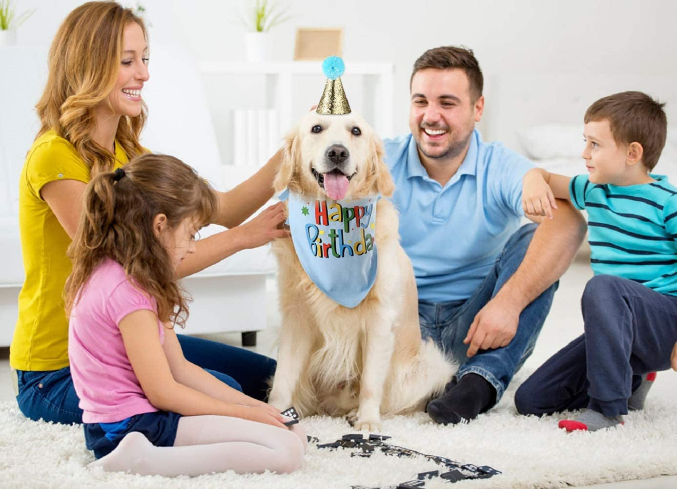 Dog Birthday Bandana/Hat Party Supplies 