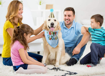 Dog Birthday Bandana/Hat Party Supplies 