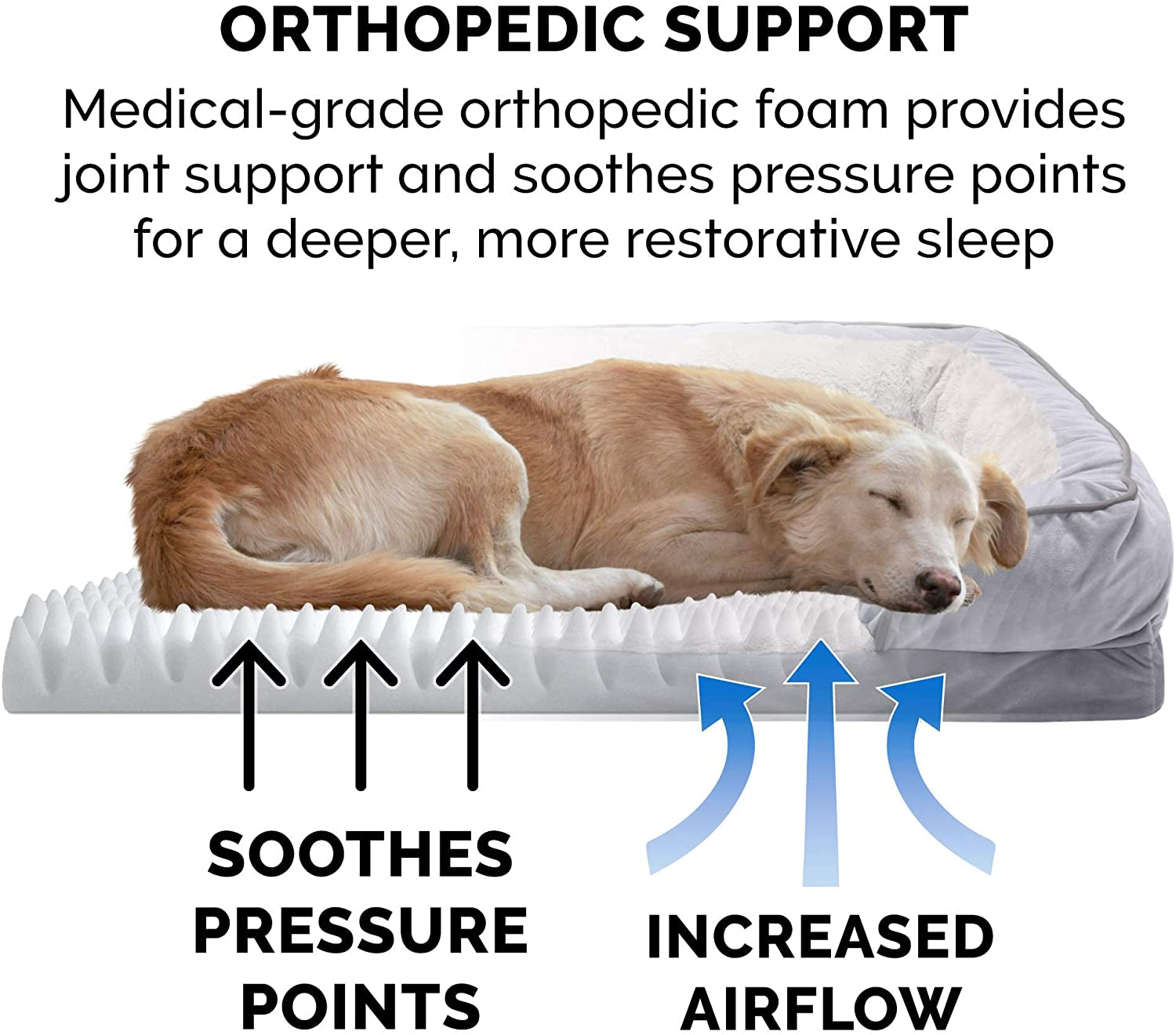 Orthopedic Dog Bed for Medium/Small Dogs W/ Removable Bolsters & Washable Cover, for Dogs up to 35 Lbs