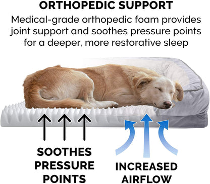 Orthopedic Dog Bed for Medium/Small Dogs W/ Removable Bolsters & Washable Cover, for Dogs up to 35 Lbs